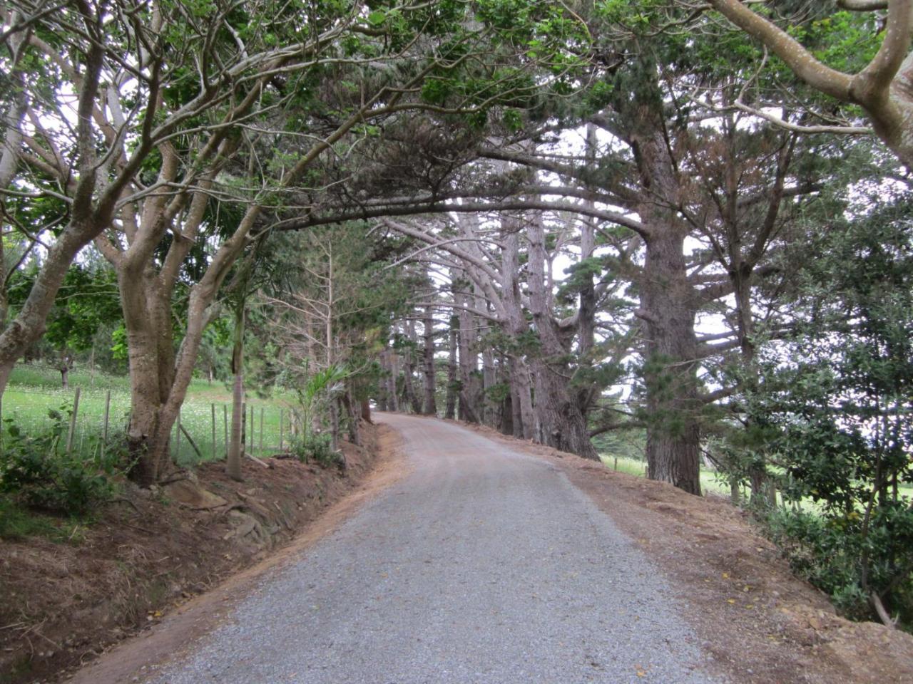 Отель Koati Views Lake Ohia Экстерьер фото